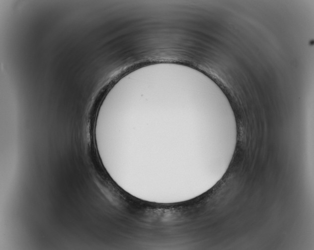 X0000088390302200705220806