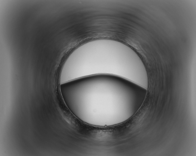 X0000088390303200705220806