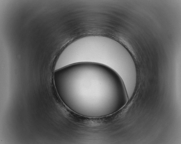 X0000088390305200705220806