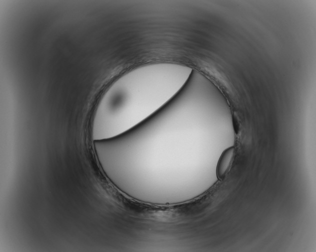 X0000088390306200705220806