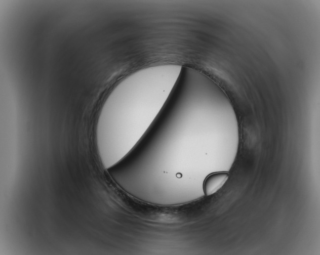 X0000088390308200705220806