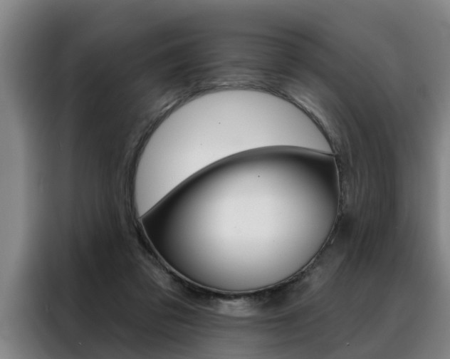 X0000088390309200705220806