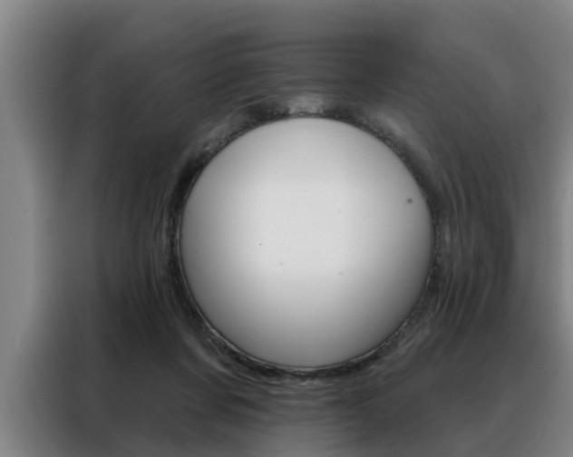 X0000088390311200705220806