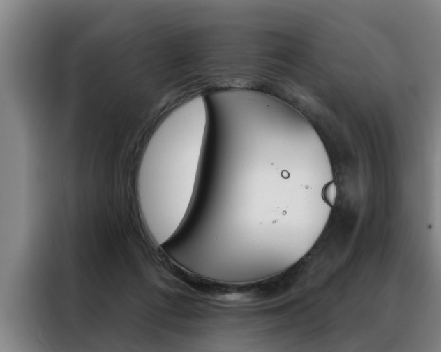 X0000088390312200705220806