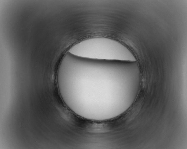 X0000088390314200705220806