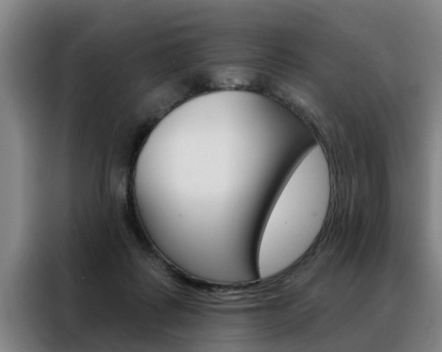 X0000088390315200705220806