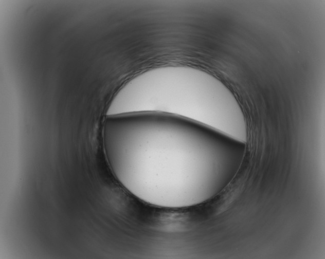 X0000088390319200705220806