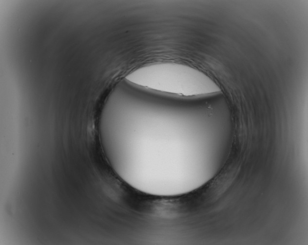 X0000088390320200705220806