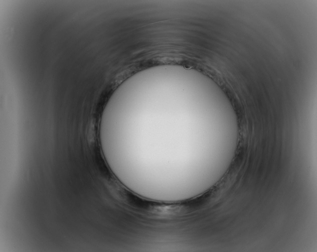 X0000088390323200705220806