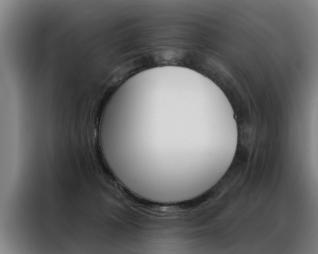 X0000088390324200705220806