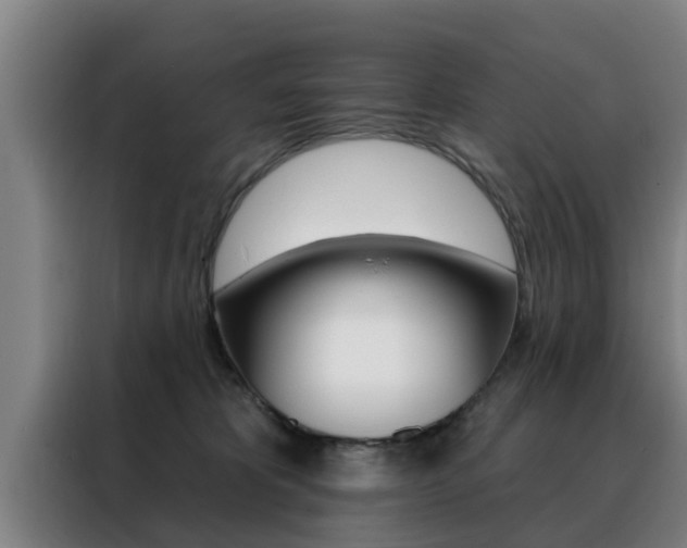 X0000088390325200705220806