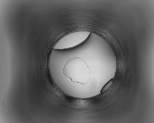 X0000088390326200705220806