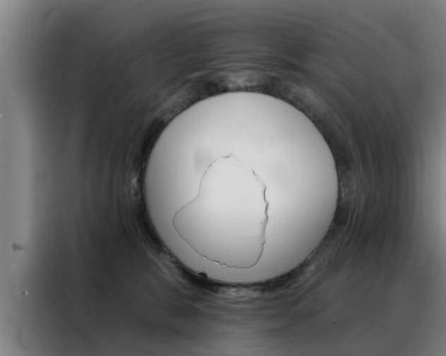 X0000088390327200705220806