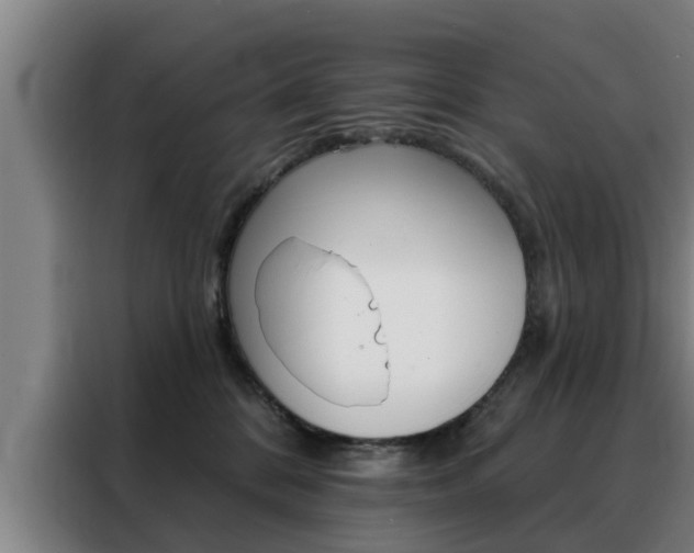 X0000088390328200705220806