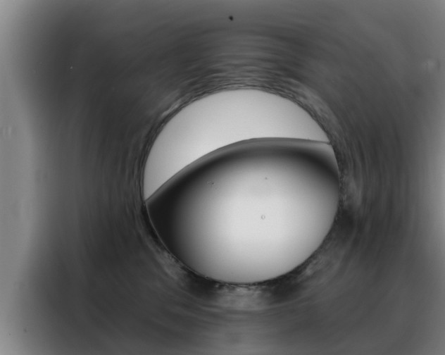 X0000088390329200705220806