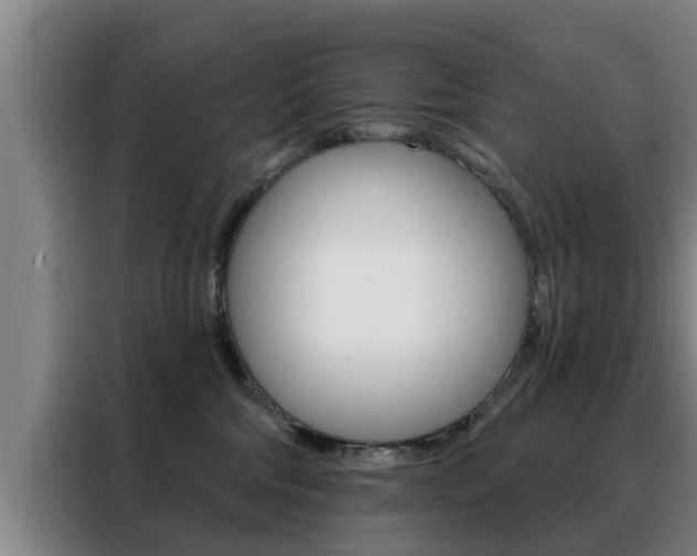 X0000088390330200705220806