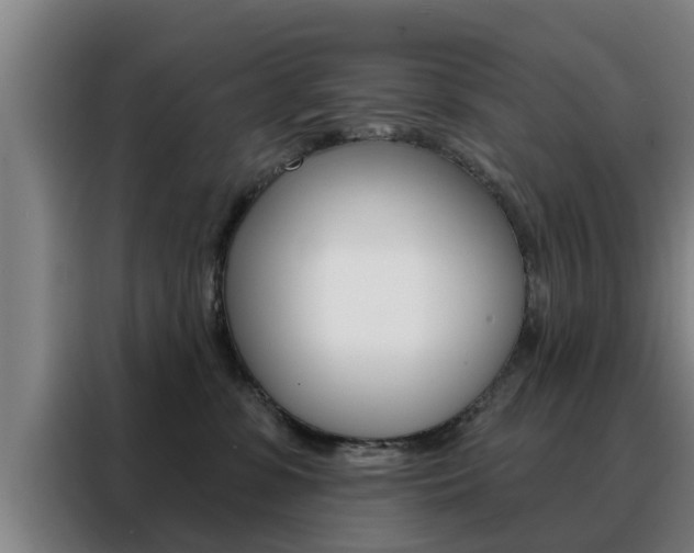 X0000088390331200705220806