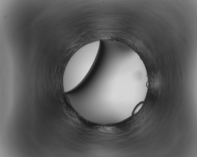 X0000088390332200705220806