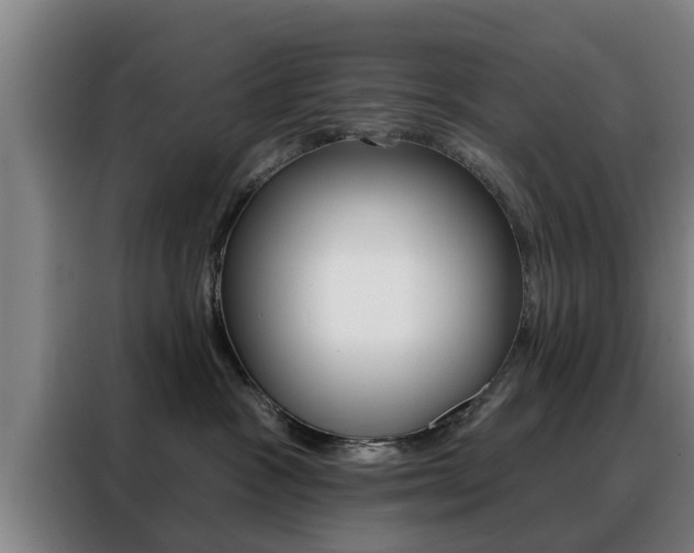 X0000088390333200705220806