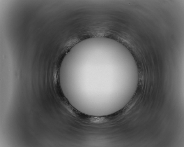 X0000088390334200705220806