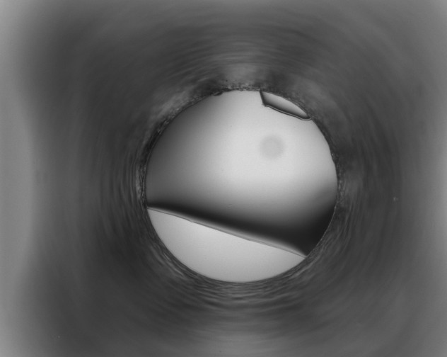 X0000088390335200705220806