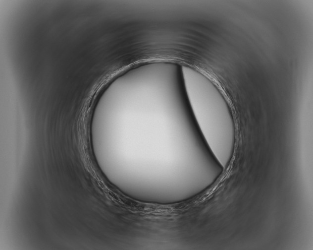 X0000088390337200705220805