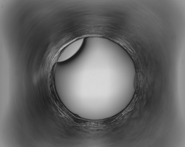 X0000088390338200705220805