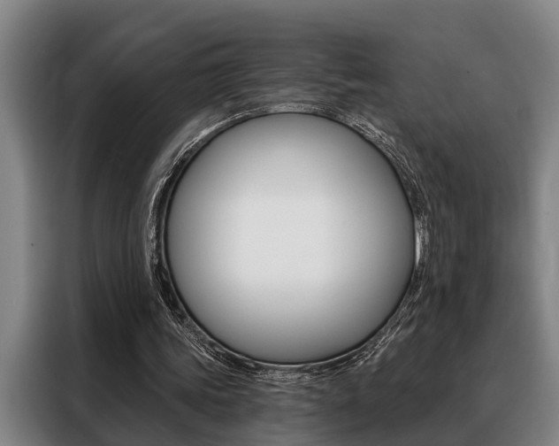 X0000088390339200705220805