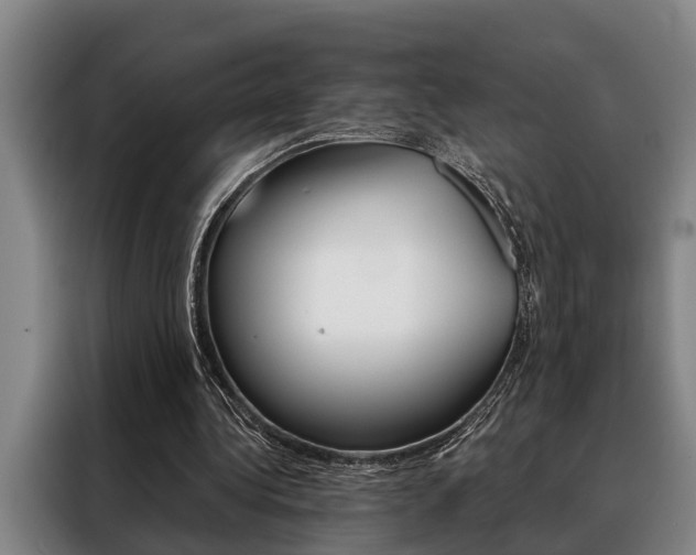 X0000088390340200705220805