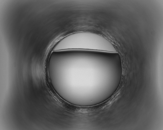 X0000088390341200705220805