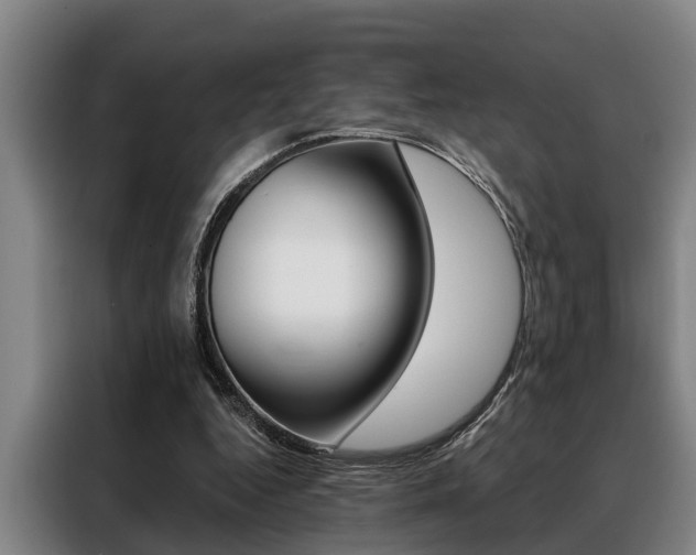 X0000088390344200705220805