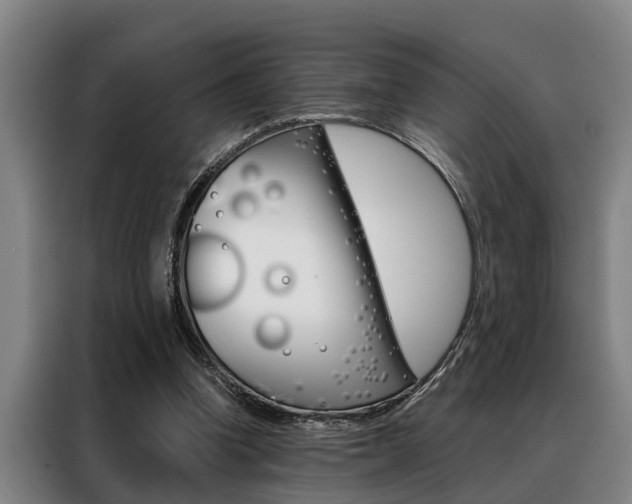 X0000088390346200705220805