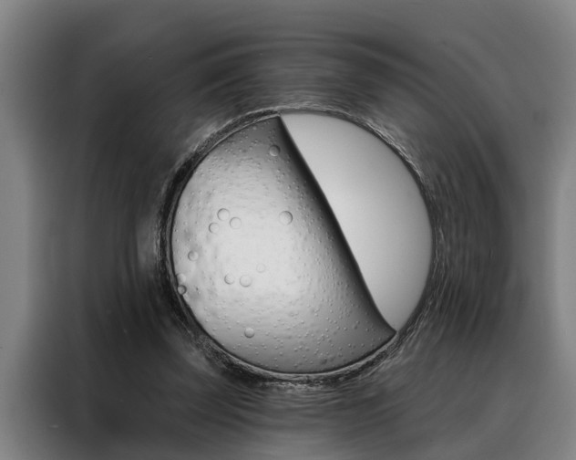 X0000088390347200705220805