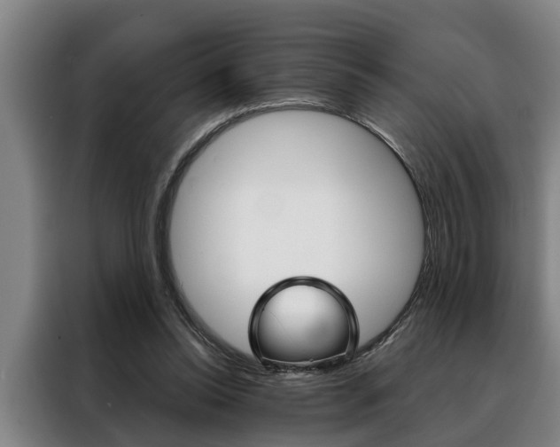 X0000088390350200705220805