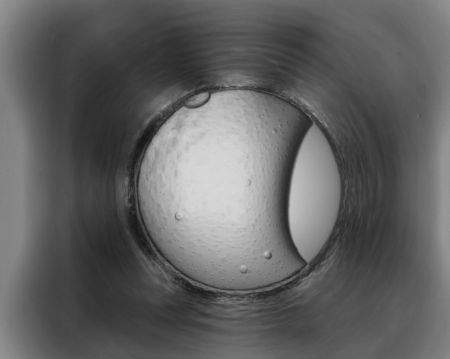 X0000088390351200705220805