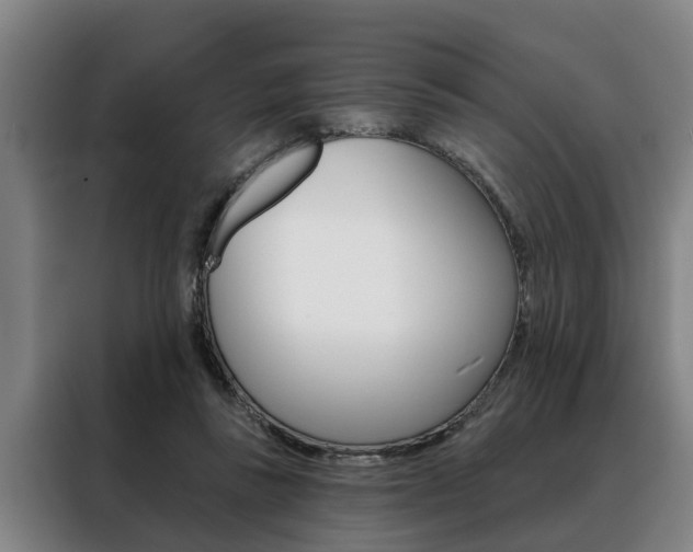 X0000088390355200705220805