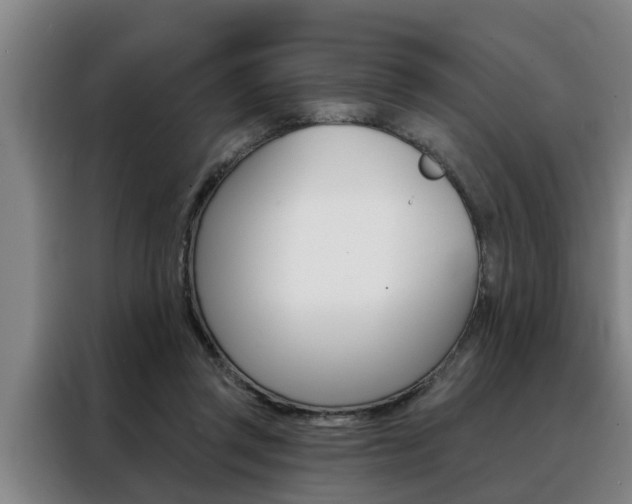 X0000088390357200705220805