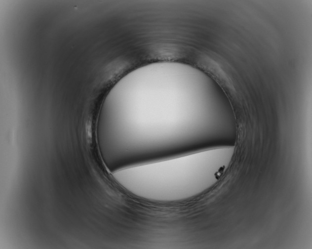 X0000088390358200705220805