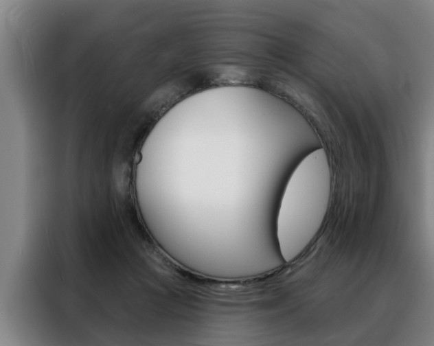 X0000088390361200705220805