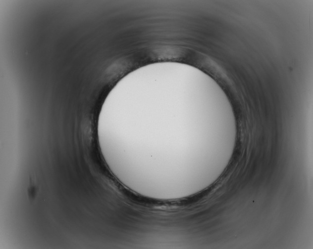 X0000088390362200705220806