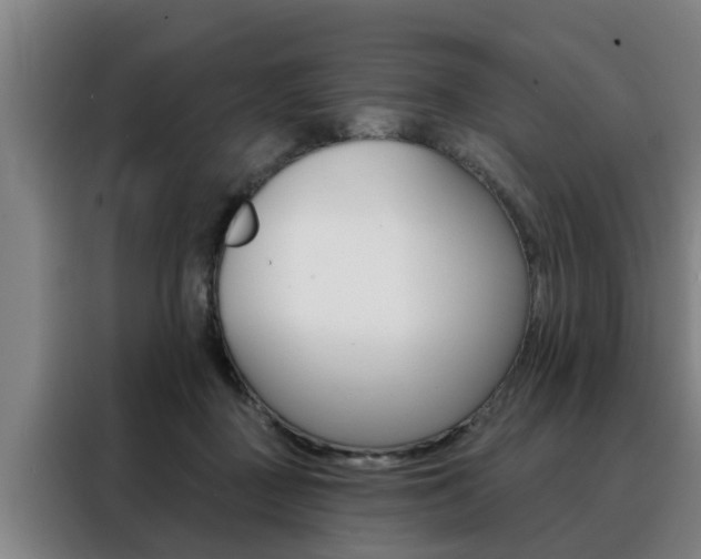 X0000088390363200705220806