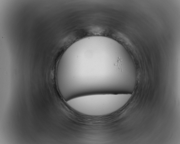 X0000088390365200705220806