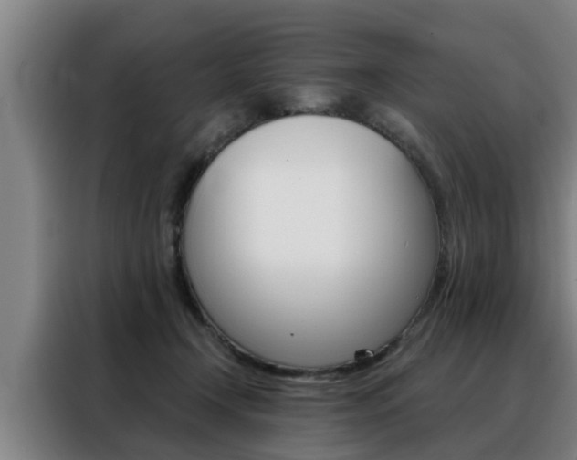 X0000088390366200705220806