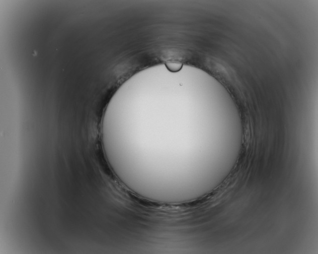 X0000088390367200705220806