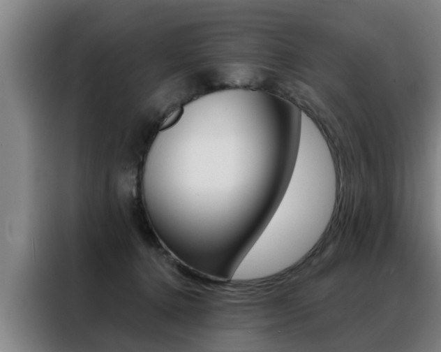 X0000088390368200705220806