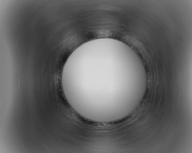 X0000088390369200705220806