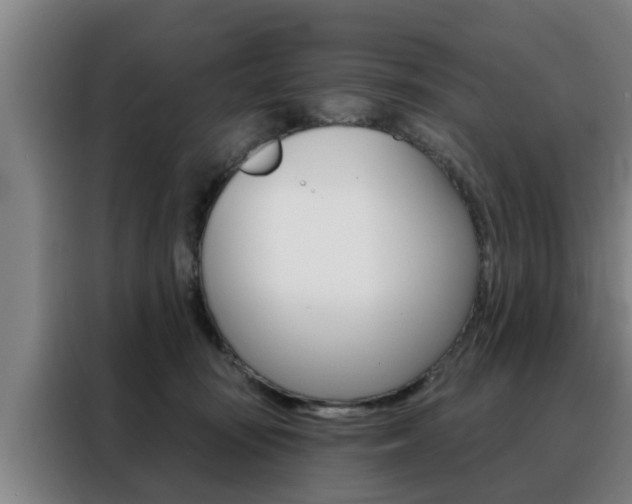 X0000088390371200705220806