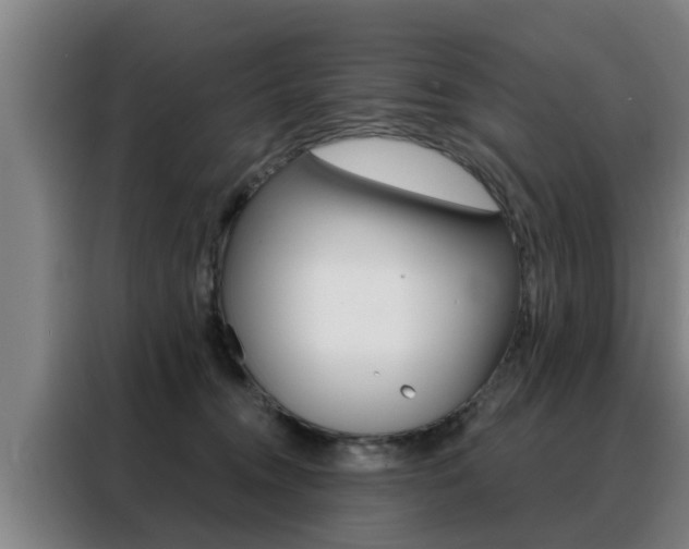 X0000088390372200705220806