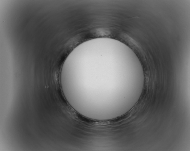 X0000088390373200705220806