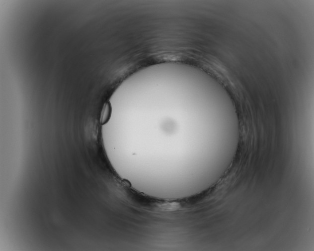 X0000088390374200705220806